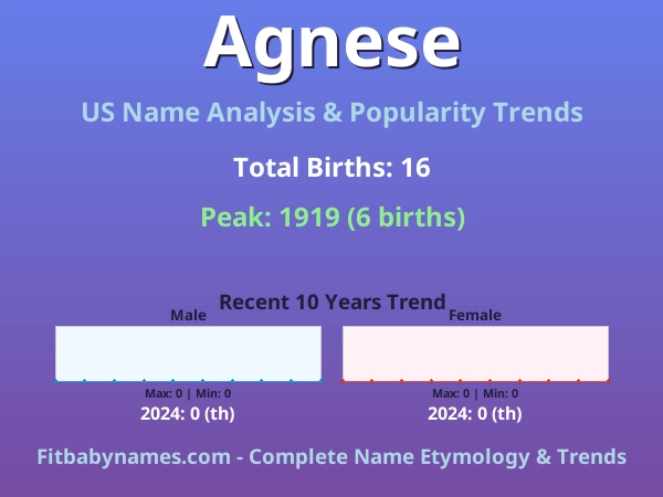 Infographic: Agnese name meaning, origin, and popularity trends in the United States (US baby name analysis chart)