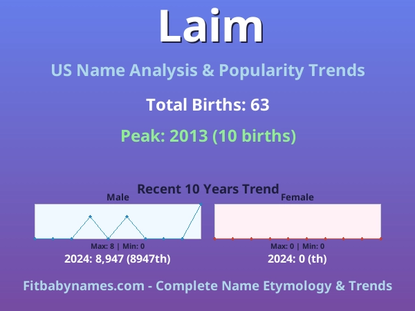 Infographic: Laim name meaning, origin, and popularity trends in the United States (US baby name analysis chart)