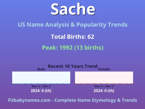Infographic: Sache name meaning, origin, and popularity trends in the United States (US baby name analysis chart)