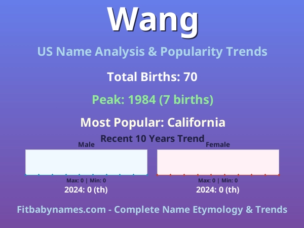 Infographic: Wang name meaning, origin, and popularity trends in the United States (US baby name analysis chart)