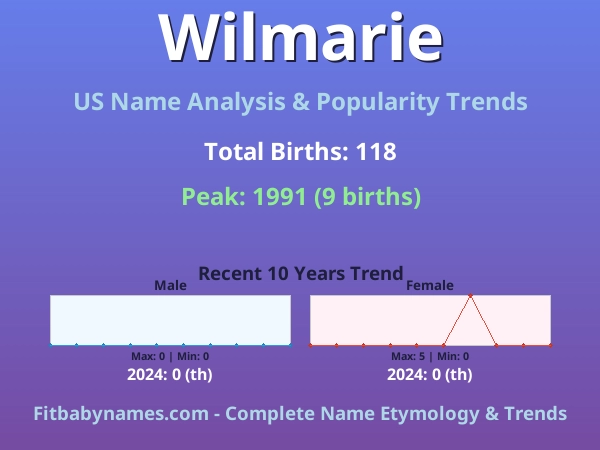 Infographic: Wilmarie name meaning, origin, and popularity trends in the United States (US baby name analysis chart)