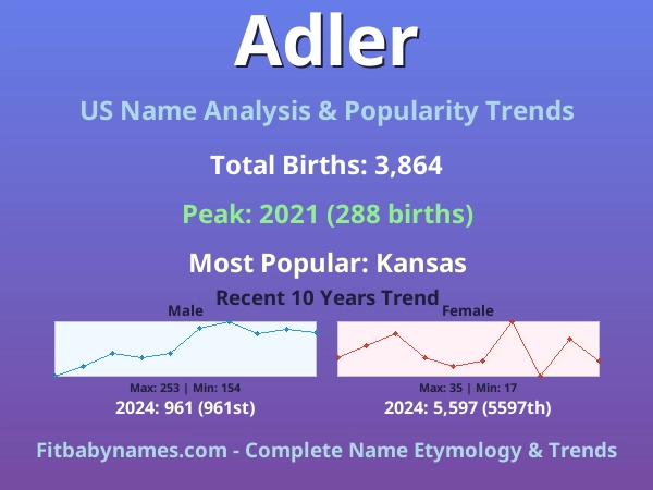 Infographic: Adler name meaning, origin, and popularity trends in the United States (US baby name analysis chart)