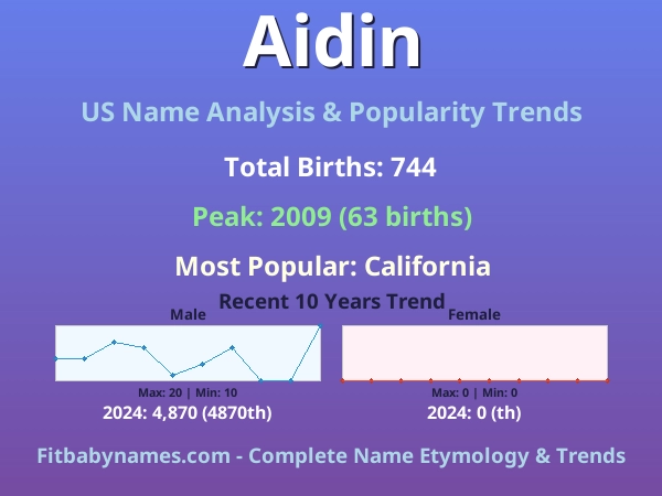 Infographic: Aidin name meaning, origin, and popularity trends in the United States (US baby name analysis chart)