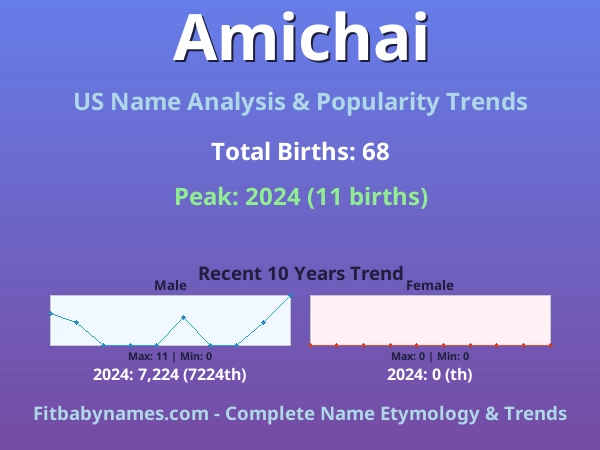 Infographic: Amichai name meaning, origin, and popularity trends in the United States (US baby name analysis chart)