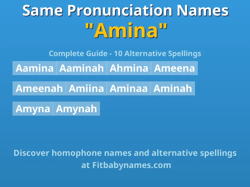 Infographic: Amina same pronunciation names, similar names, and homophone names