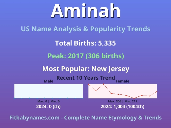 Infographic: Aminah name meaning, origin, and popularity trends in the United States (US baby name analysis chart)