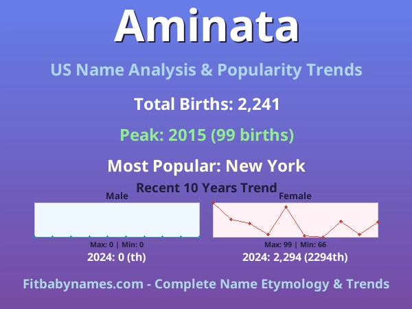 Infographic: Aminata name meaning, origin, and popularity trends in the United States (US baby name analysis chart)