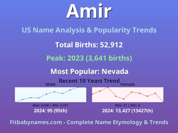 Infographic: Amir name meaning, origin, and popularity trends in the United States (US baby name analysis chart)