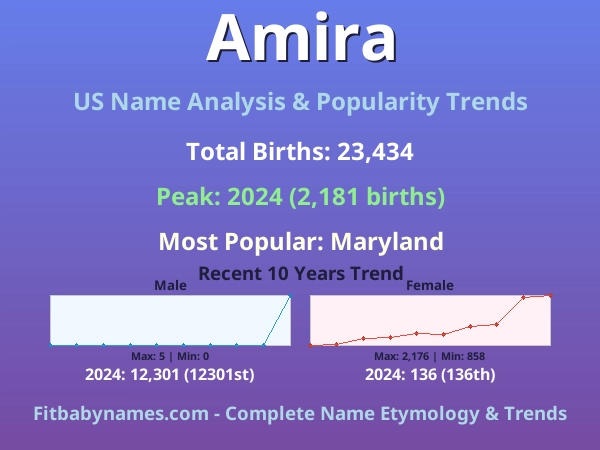 Infographic: Amira name meaning, origin, and popularity trends in the United States (US baby name analysis chart)