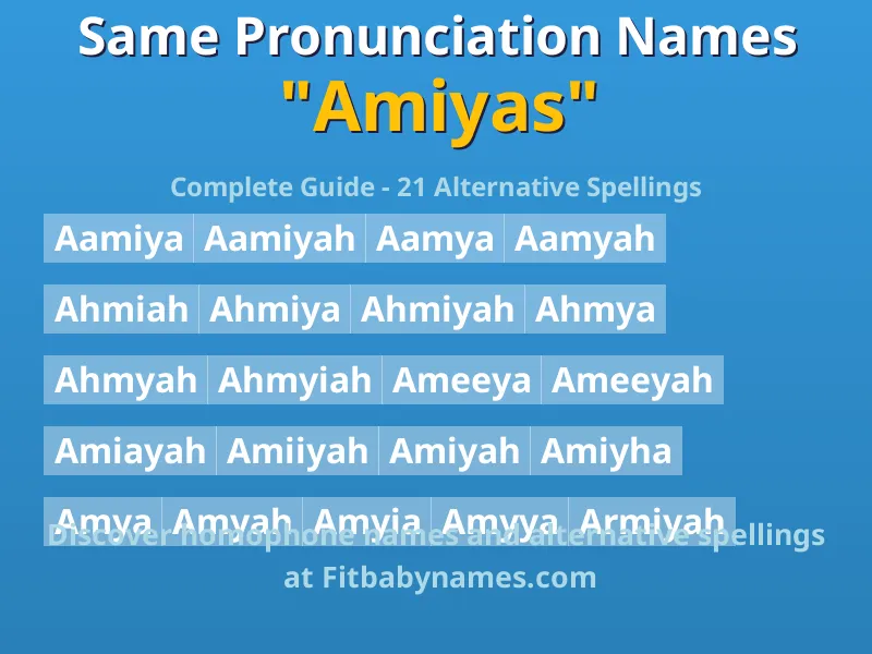 Infographic: Amiyas same pronunciation names, similar names, and homophone names