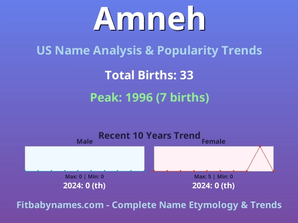 Infographic: Amneh name meaning, origin, and popularity trends in the United States (US baby name analysis chart)