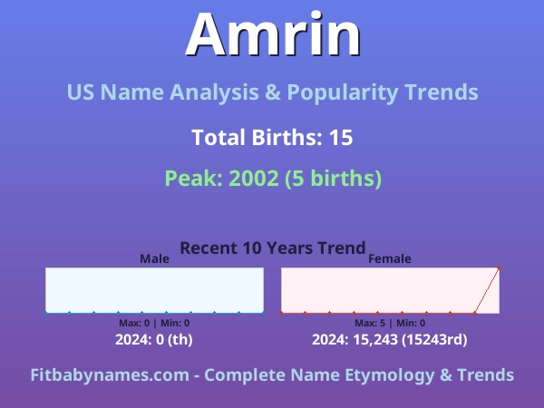 Infographic: Amrin name meaning, origin, and popularity trends in the United States (US baby name analysis chart)