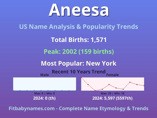 Infographic: Aneesa name meaning, origin, and popularity trends in the United States (US baby name analysis chart)