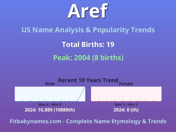 Infographic: Aref name meaning, origin, and popularity trends in the United States (US baby name analysis chart)