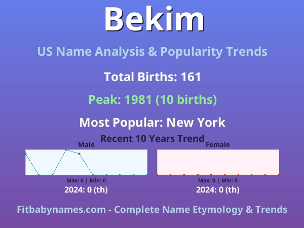 Infographic: Bekim name meaning, origin, and popularity trends in the United States (US baby name analysis chart)