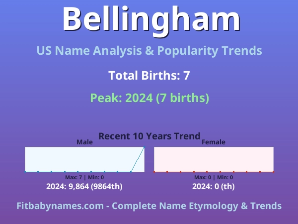 Infographic: Bellingham name meaning, origin, and popularity trends in the United States (US baby name analysis chart)