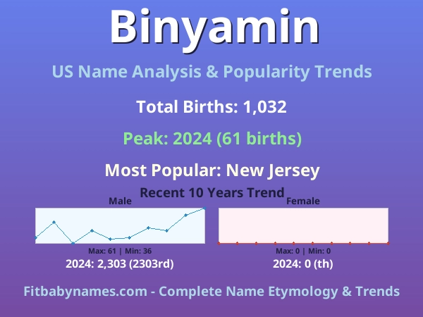 Infographic: Binyamin name meaning, origin, and popularity trends in the United States (US baby name analysis chart)