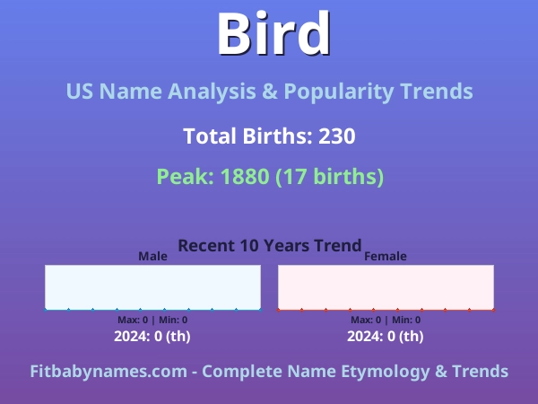 Infographic: Bird name meaning, origin, and popularity trends in the United States (US baby name analysis chart)
