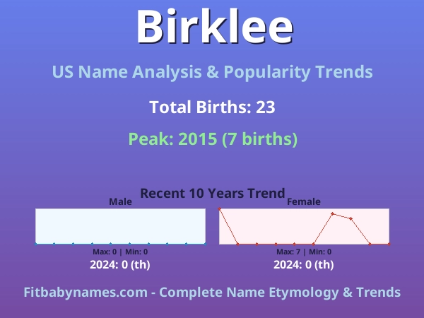 Infographic: Birklee name meaning, origin, and popularity trends in the United States (US baby name analysis chart)