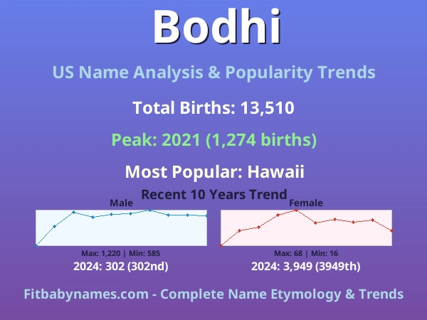 Infographic: Bodhi name meaning, origin, and popularity trends in the United States (US baby name analysis chart)