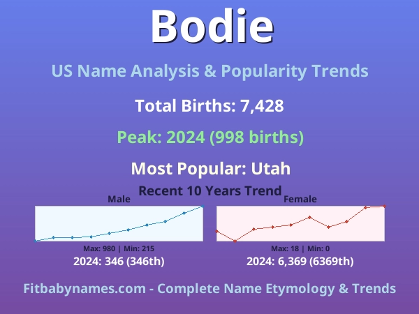 Infographic: Bodie name meaning, origin, and popularity trends in the United States (US baby name analysis chart)