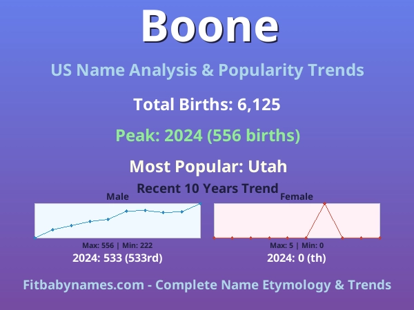 Infographic: Boone name meaning, origin, and popularity trends in the United States (US baby name analysis chart)