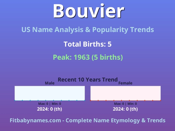 Infographic: Bouvier name meaning, origin, and popularity trends in the United States (US baby name analysis chart)