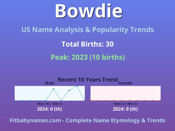 Infographic: Bowdie name meaning, origin, and popularity trends in the United States (US baby name analysis chart)