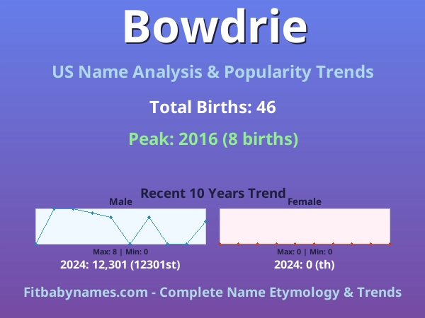 Infographic: Bowdrie name meaning, origin, and popularity trends in the United States (US baby name analysis chart)
