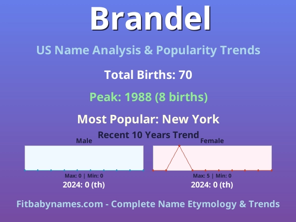 Infographic: Brandel name meaning, origin, and popularity trends in the United States (US baby name analysis chart)