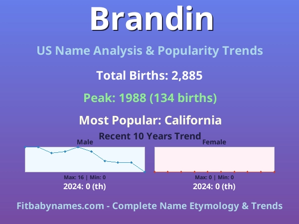 Infographic: Brandin name meaning, origin, and popularity trends in the United States (US baby name analysis chart)