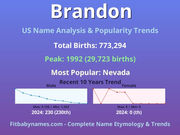 Infographic: Brandon name meaning, origin, and popularity trends in the United States (US baby name analysis chart)