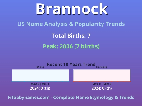 Infographic: Brannock name meaning, origin, and popularity trends in the United States (US baby name analysis chart)