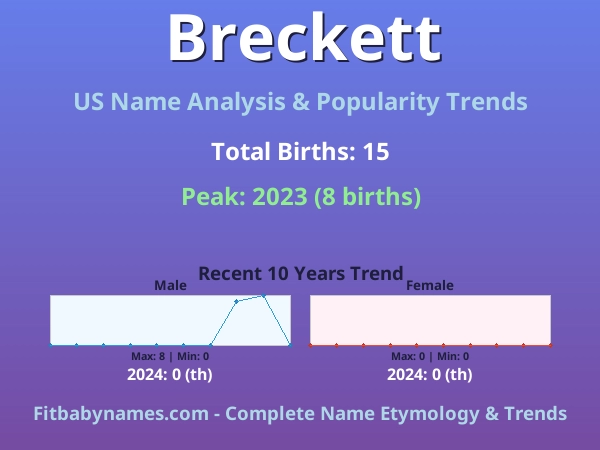 Infographic: Breckett name meaning, origin, and popularity trends in the United States (US baby name analysis chart)