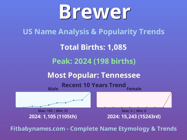 Infographic: Brewer name meaning, origin, and popularity trends in the United States (US baby name analysis chart)
