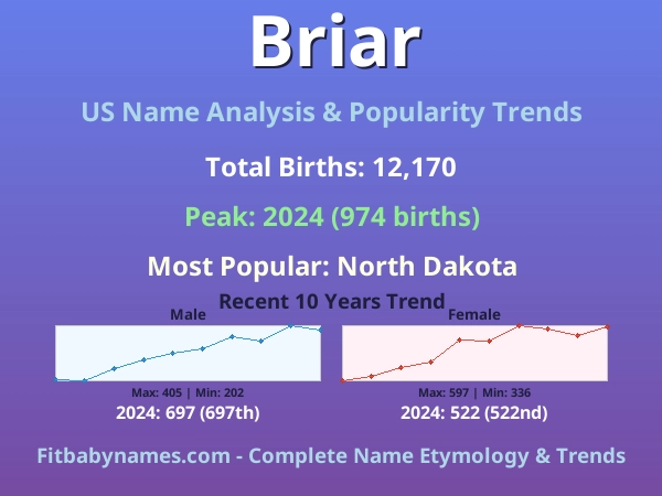 Infographic: Briar name meaning, origin, and popularity trends in the United States (US baby name analysis chart)