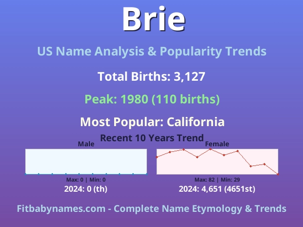 Infographic: Brie name meaning, origin, and popularity trends in the United States (US baby name analysis chart)