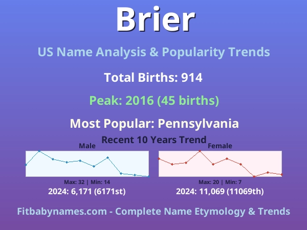 Infographic: Brier name meaning, origin, and popularity trends in the United States (US baby name analysis chart)