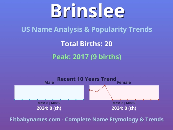 Infographic: Brinslee name meaning, origin, and popularity trends in the United States (US baby name analysis chart)