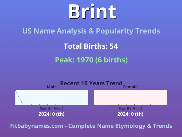 Infographic: Brint name meaning, origin, and popularity trends in the United States (US baby name analysis chart)
