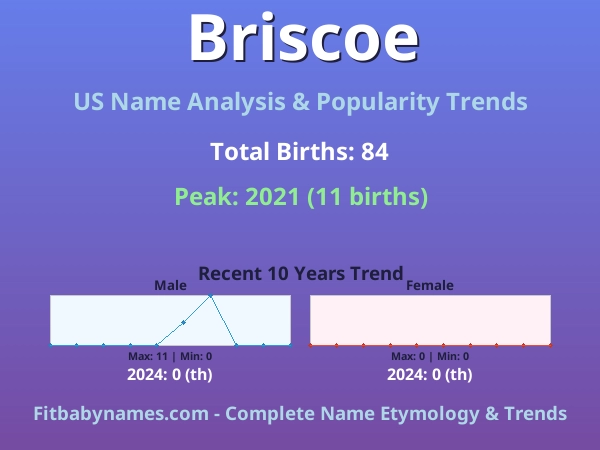Infographic: Briscoe name meaning, origin, and popularity trends in the United States (US baby name analysis chart)