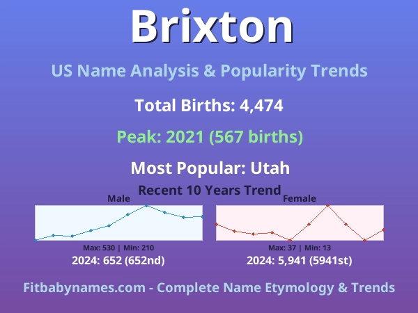 Infographic: Brixton name meaning, origin, and popularity trends in the United States (US baby name analysis chart)