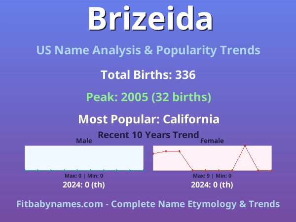 Infographic: Brizeida name meaning, origin, and popularity trends in the United States (US baby name analysis chart)