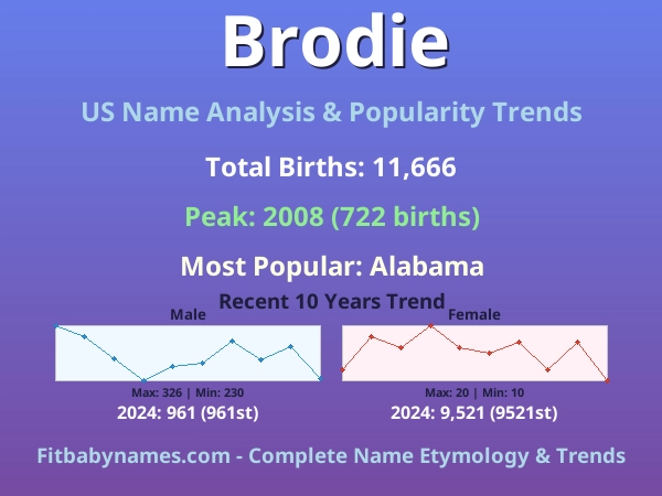 Infographic: Brodie name meaning, origin, and popularity trends in the United States (US baby name analysis chart)