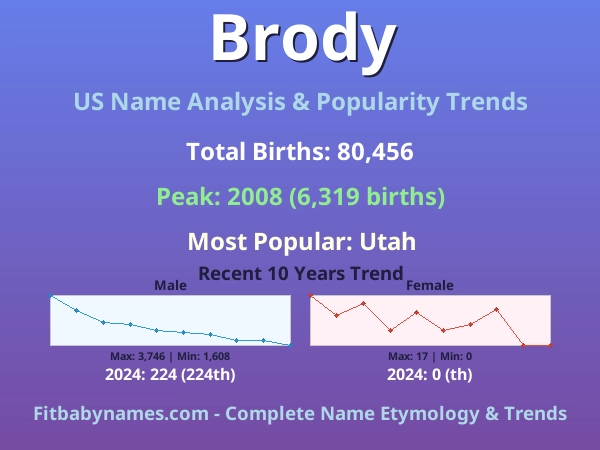 Infographic: Brody name meaning, origin, and popularity trends in the United States (US baby name analysis chart)