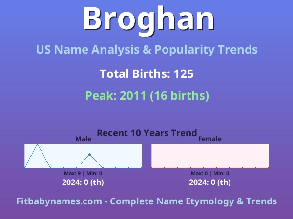 Infographic: Broghan name meaning, origin, and popularity trends in the United States (US baby name analysis chart)