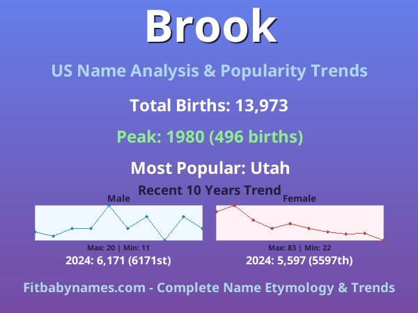 Infographic: Brook name meaning, origin, and popularity trends in the United States (US baby name analysis chart)