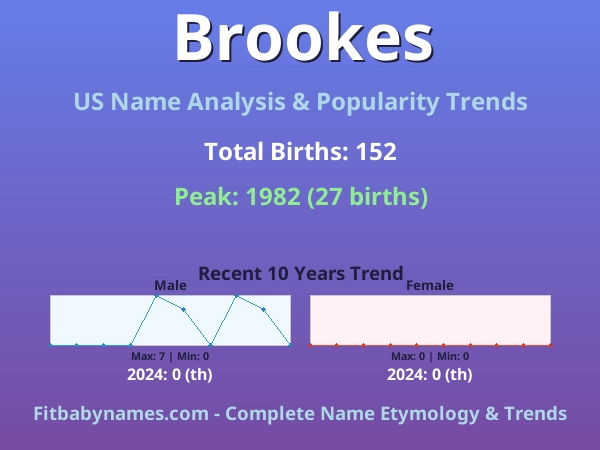 Infographic: Brookes name meaning, origin, and popularity trends in the United States (US baby name analysis chart)