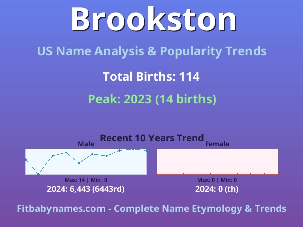 Infographic: Brookston name meaning, origin, and popularity trends in the United States (US baby name analysis chart)