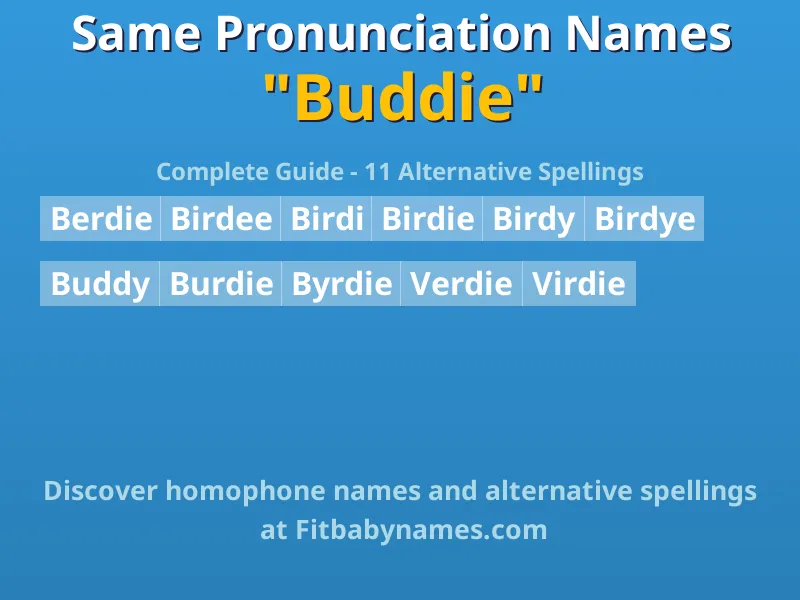 Infographic: Buddie same pronunciation names, similar names, and homophone names